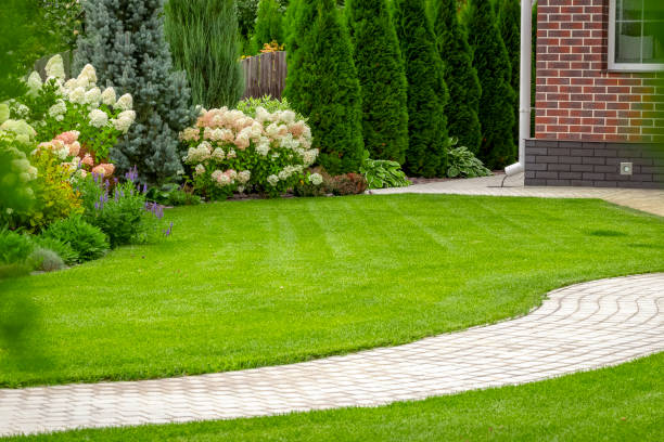 Servicio de jardinería para empresas y particulares