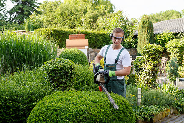 Jardinería en Barcelona