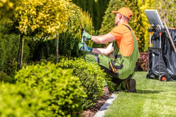 Jardinería en Barcelona