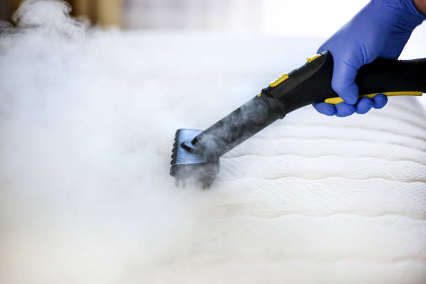 limpieza de colchon con vapor profesional